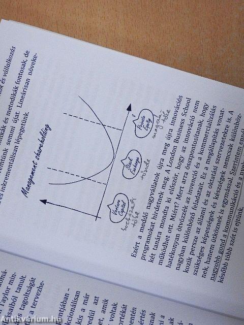 Startup, felnőtteknek!