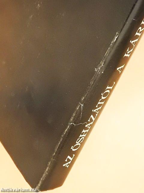 Az őshazától a Kárpátokig