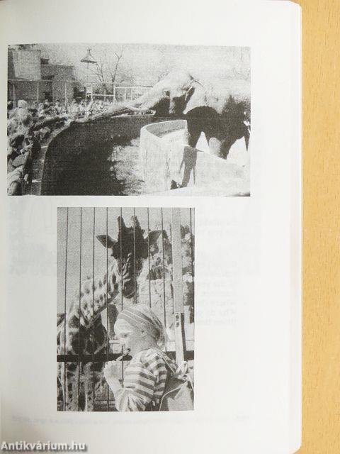 Angol társalgási képeskönyv alap-, közép- és felsőfokon