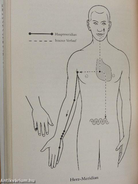 Neue Therapien mit Bach-Blüten 3.
