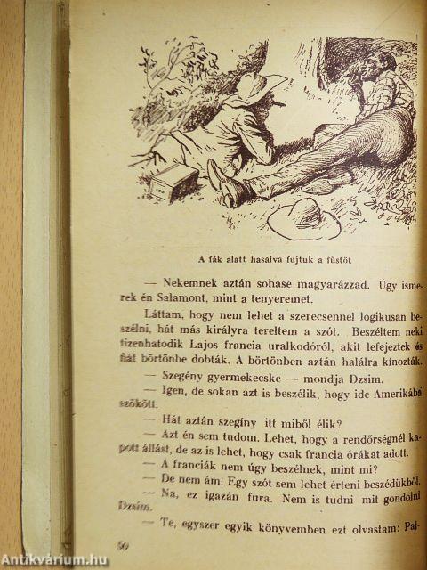 Huckleberry Finn kalandjai