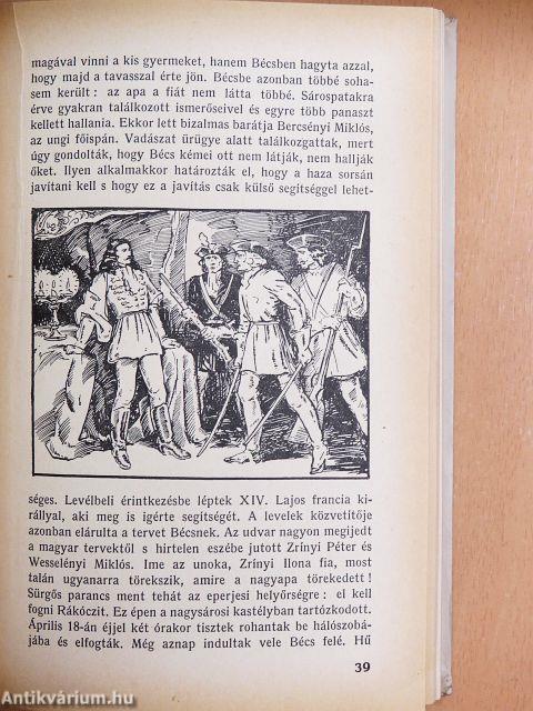 A vezérlő fejedelem