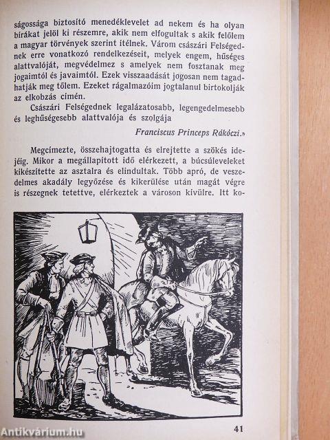 A vezérlő fejedelem