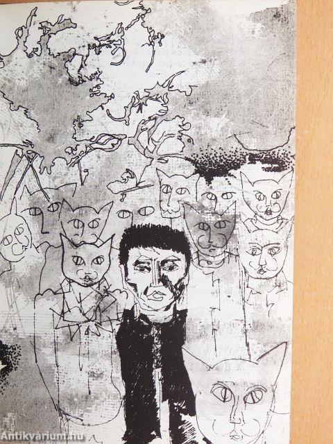 Macskaváros krónikája