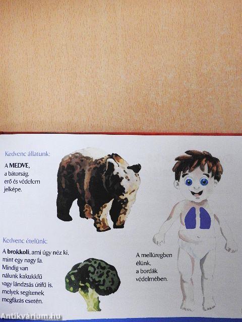 A Szervmanók titokzatos világa