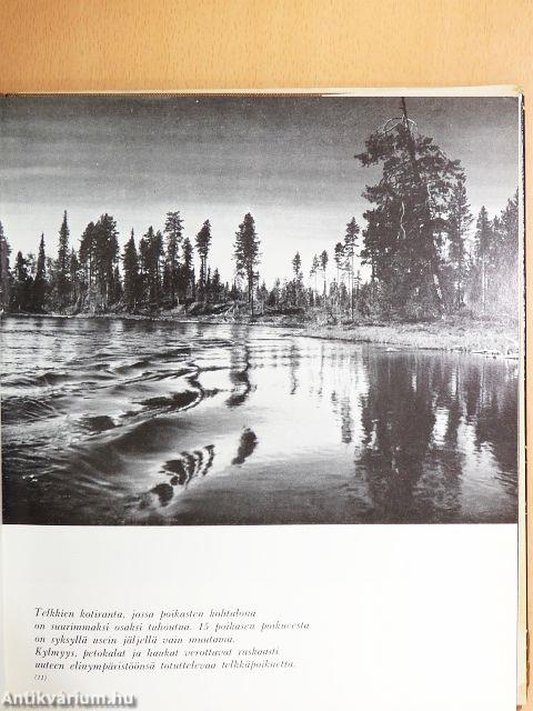 Seitsemän auringon yö