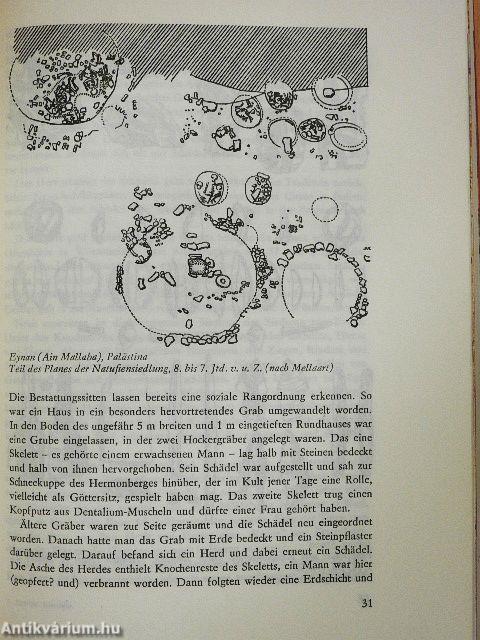 Von Schanidar bis Akkad