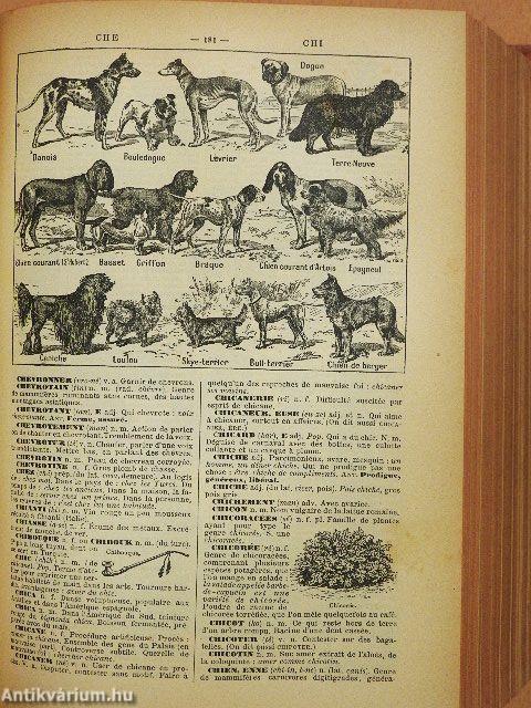 Petit Larousse illustré