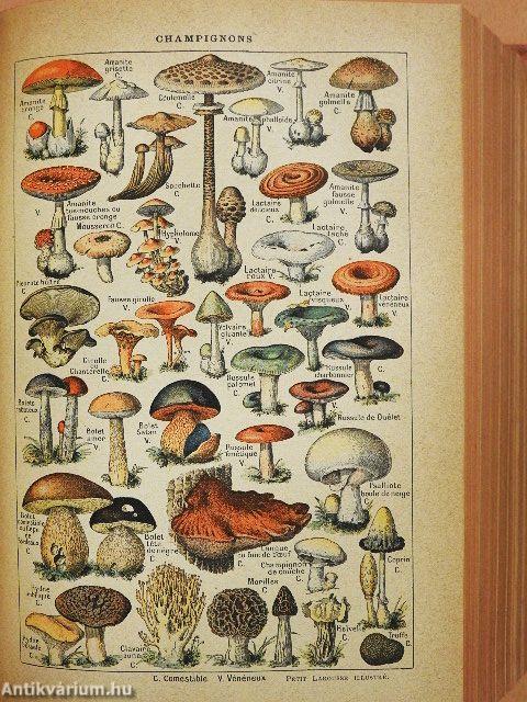 Petit Larousse illustré