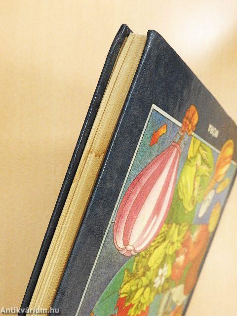 Minden napra egy kérdés