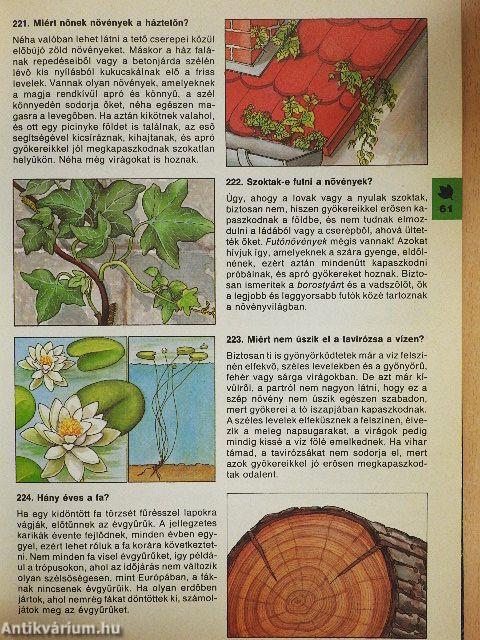 Minden napra egy kérdés