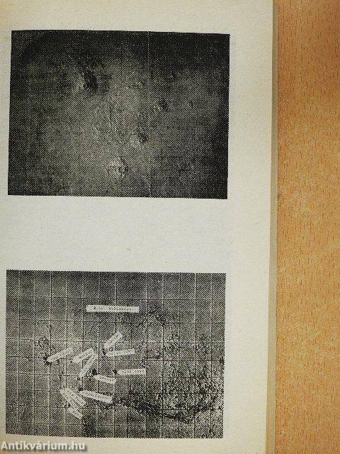 A Mars üzenetének megfejtése űrfotók alapján