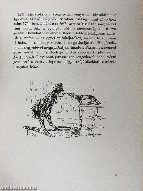 A kispolgár természetrajza