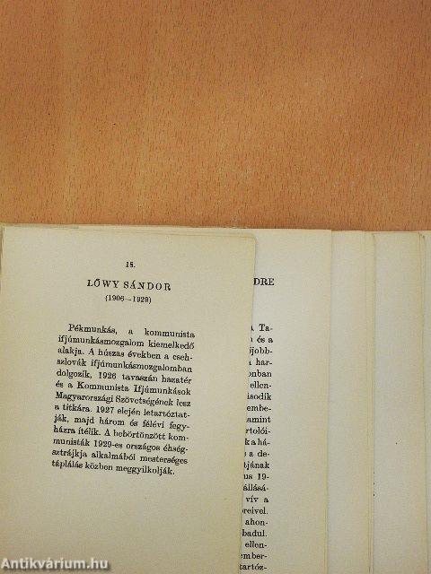 Magyar történelem 4.