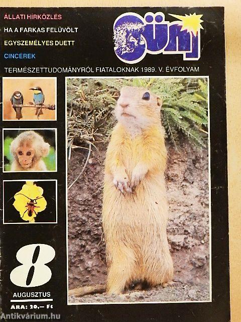 Süni 1989. augusztus