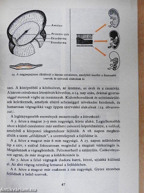 Születésünk titkai