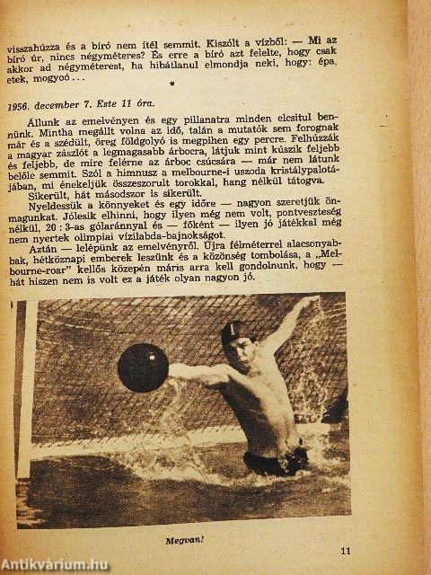 Melbourne-Miami-Margitsziget