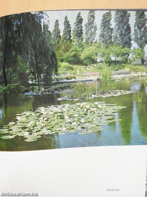 Margitsziget
