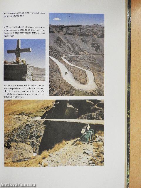 Haldokló őserdők nyomában