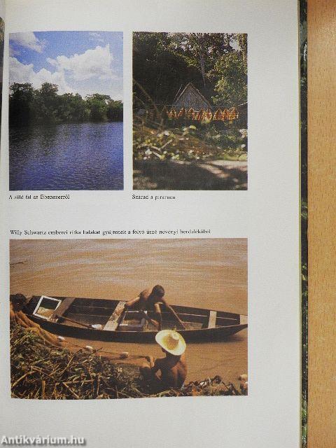 Haldokló őserdők nyomában