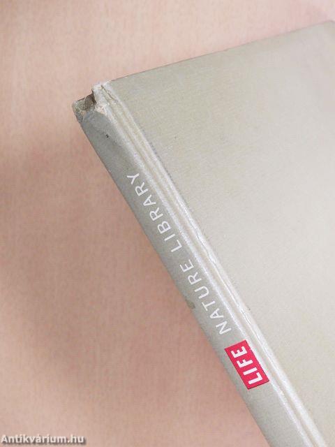 The Land and Wild-Life of Eurasia