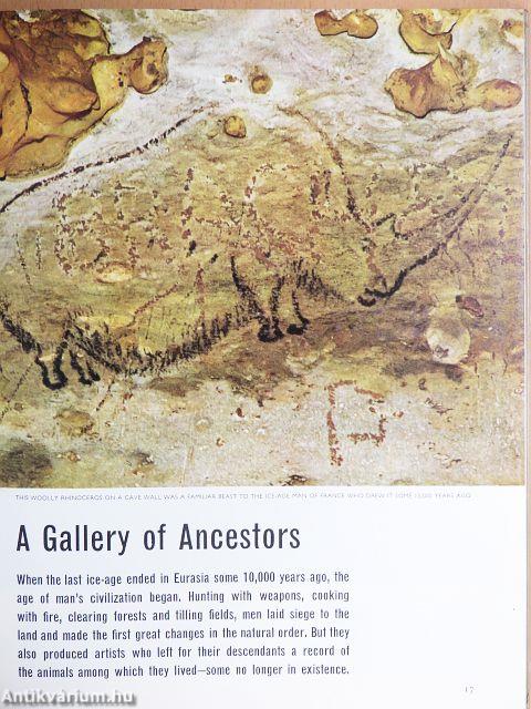 The Land and Wild-Life of Eurasia