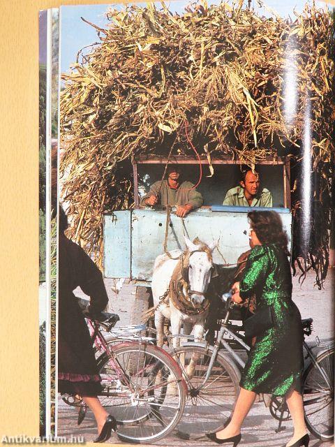 National Geographic July-December 1992 (fél évfolyam)