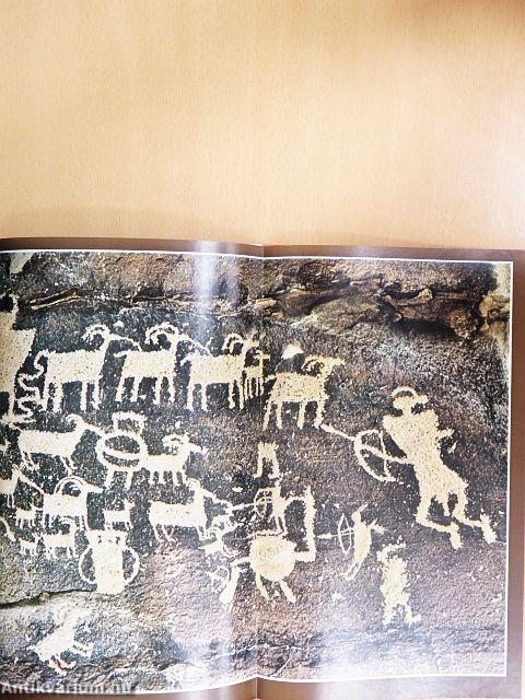 National Geographic January-December 1980. (teljes évfolyam) I-II.