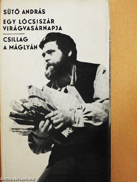 Egy lócsiszár virágvasárnapja/Csillag a máglyán