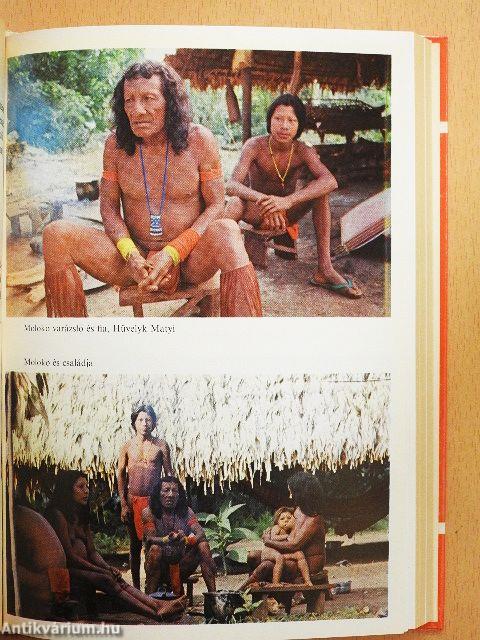 Antekume, avagy egy másik élet