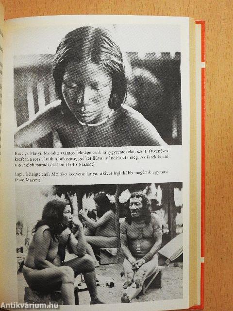 Antekume, avagy egy másik élet