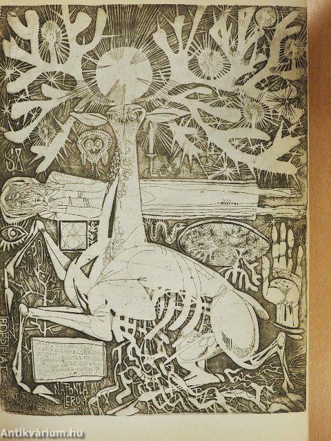 A szarvassá változott fiú