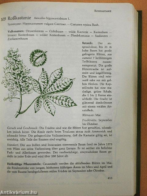 Gesundheit durch Heilkräuter