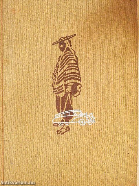 A Kordillerákon át