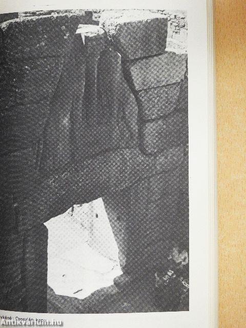 Az építészet világtörténete I-II.