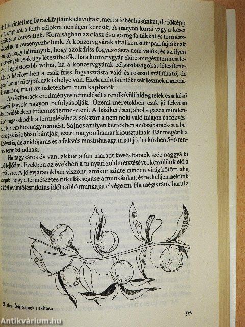 Ősztől őszig a kertbarátoknál