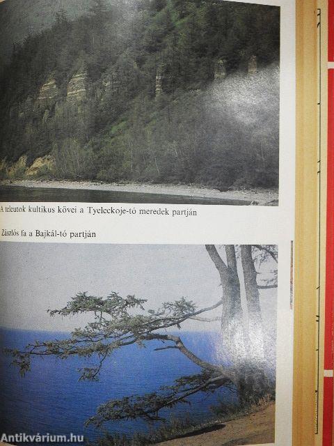 Az arany hegyek útjain