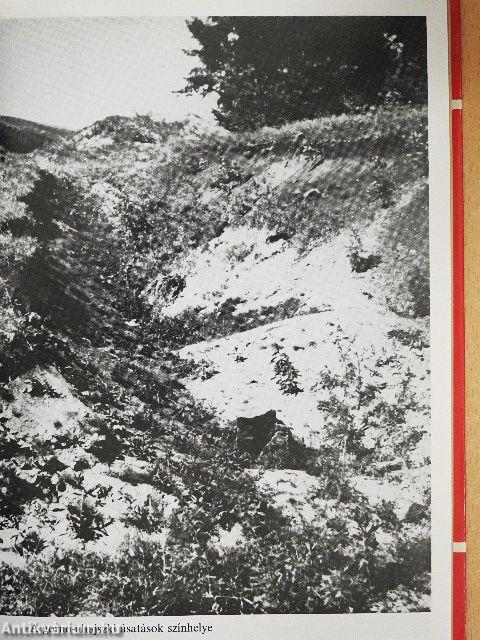 Az arany hegyek útjain