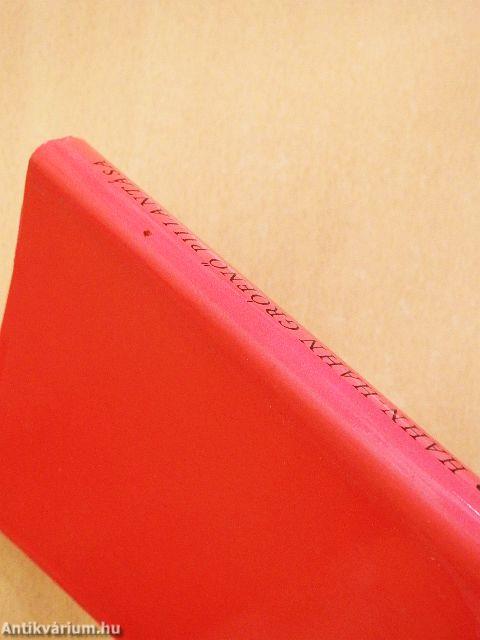 Hahn-Hahn grófnő pillantása