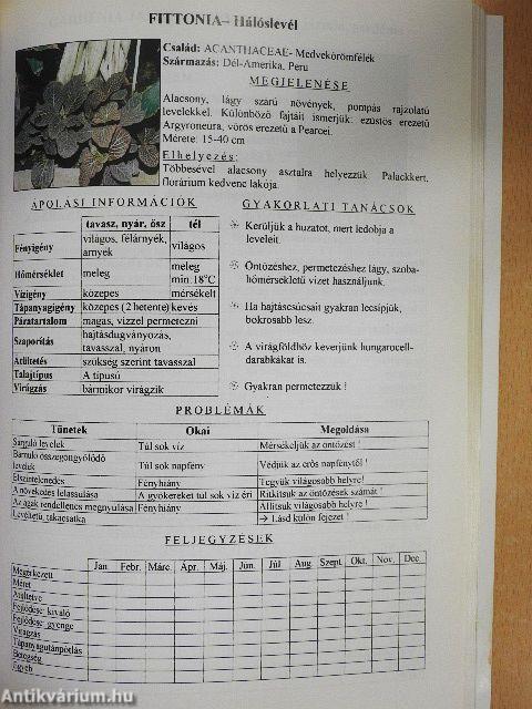 Szobanövények otthonunkban