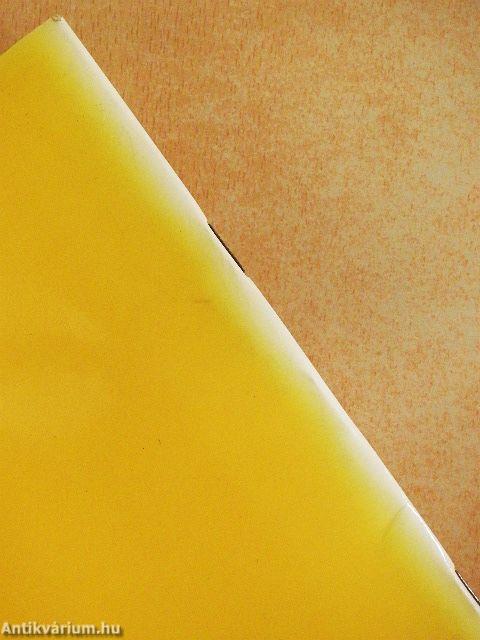 A régészet helyzete