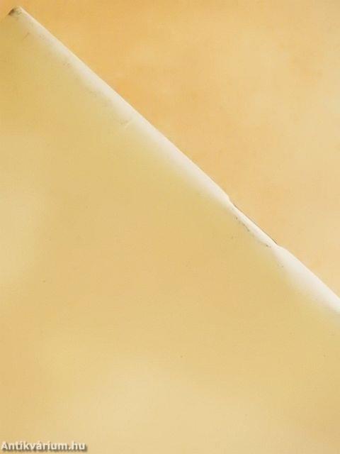 Az irányítás, vezetés és szervezéstudomány helyzete