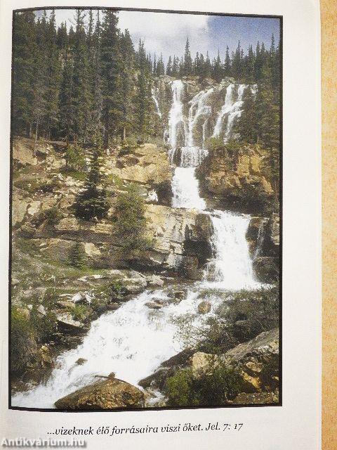 Hogyan őrizzük meg egészségünket?