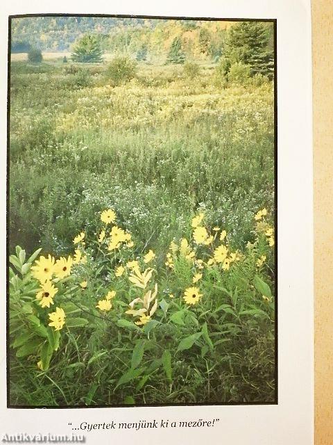 Hogyan őrizzük meg egészségünket?