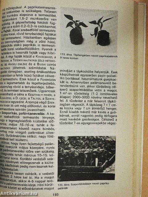 Zöldségtermesztés a házikertben