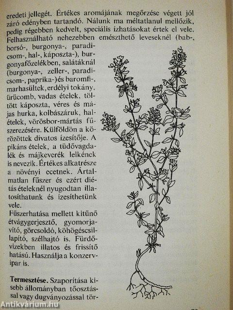 Fűszerek könyve