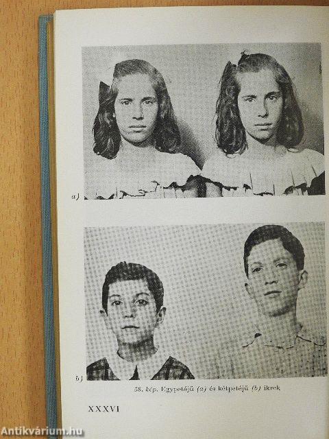 A születendő gyermek védelmében