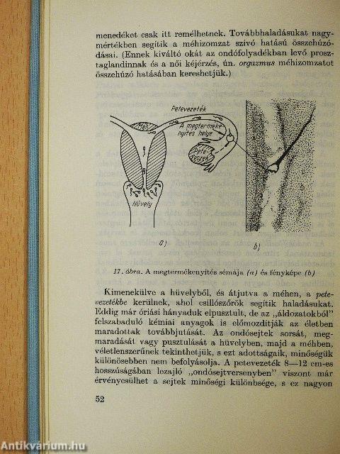 A születendő gyermek védelmében