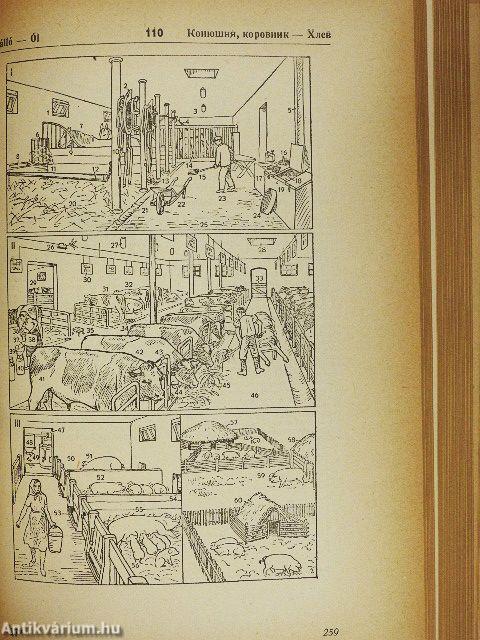 Magyar-orosz szemléltető szótár