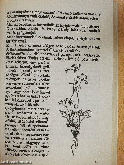 Fűszerek könyve
